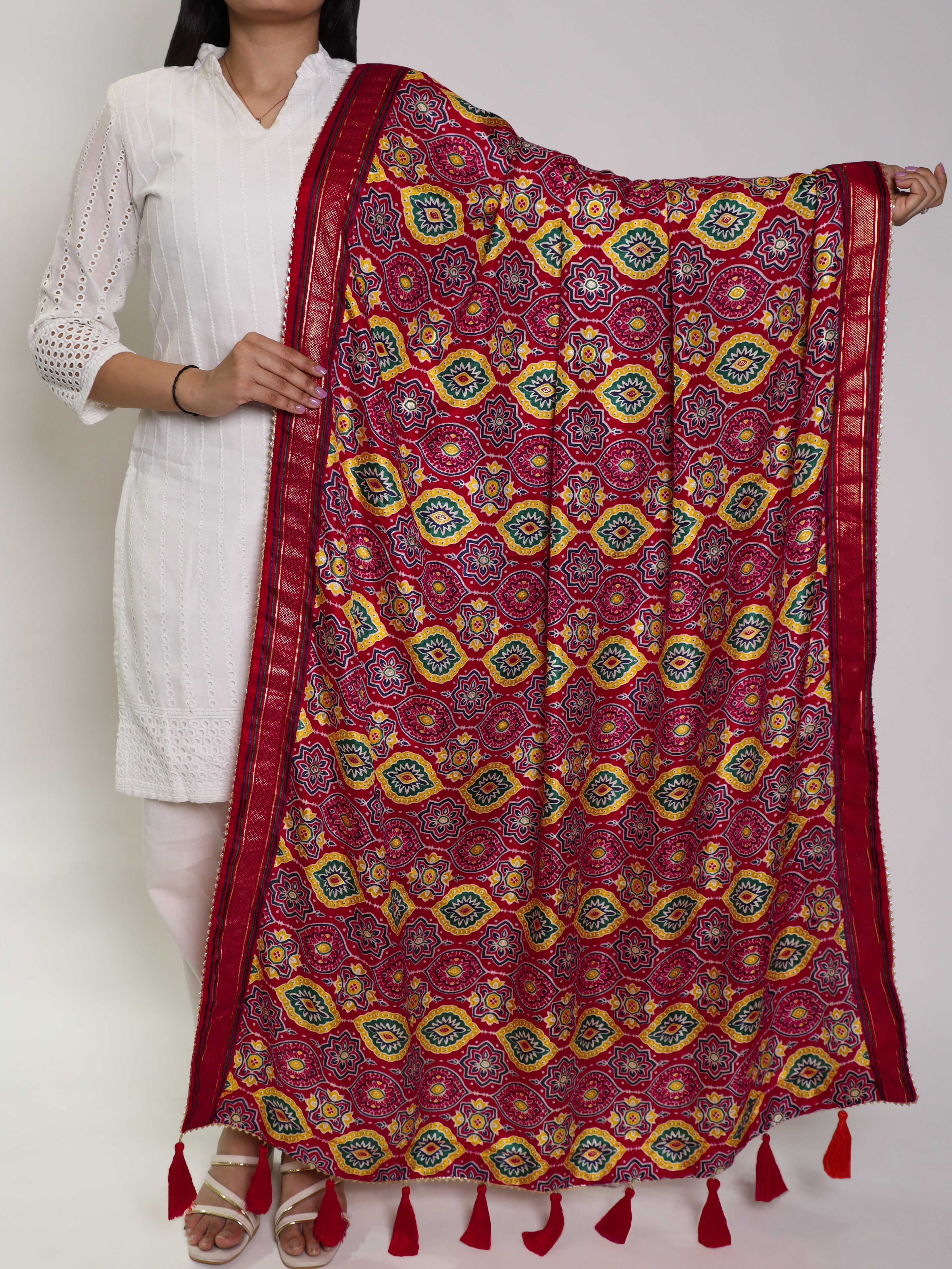 Tussar Silk Printed Dupatta
